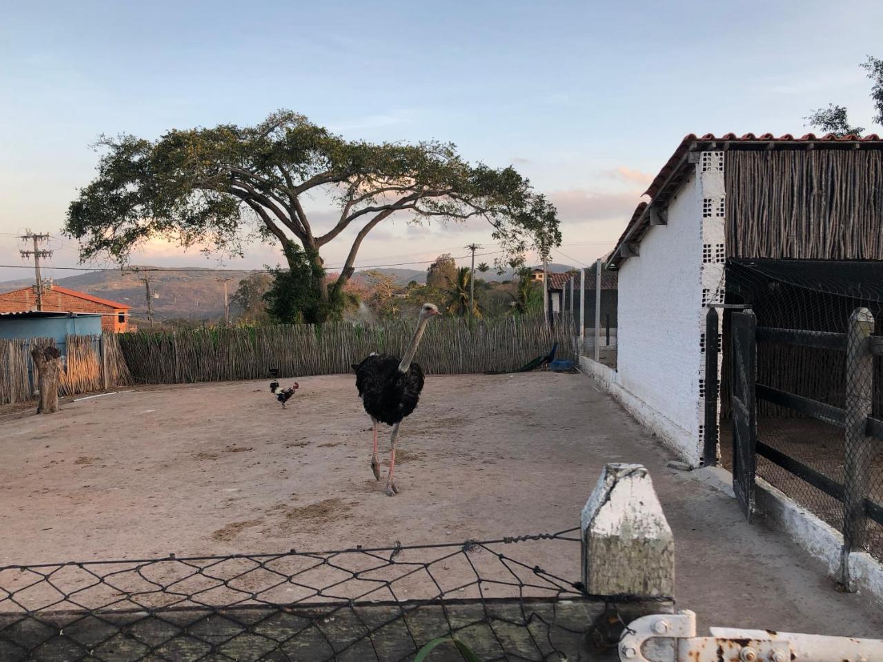 Flat 301 Condominio Villa Hipica - Gravata, Pe Eksteriør bilde